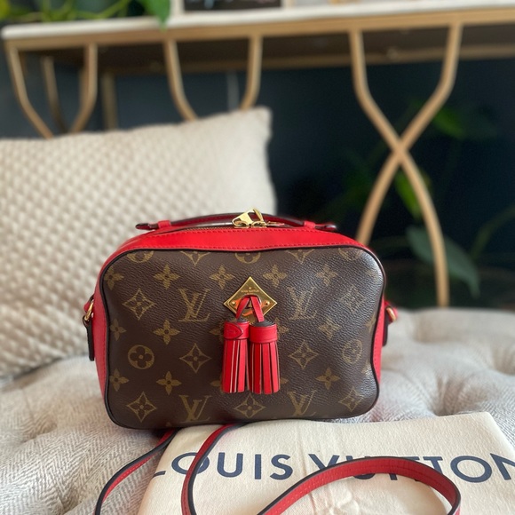 Price is FIrM*Louis Vuitton Saintonge - Picture 10 of 16